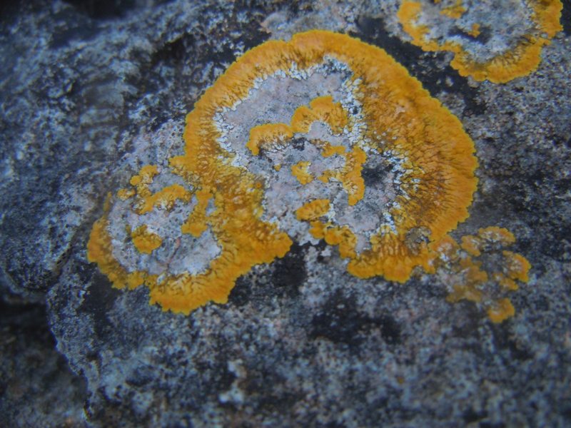 dal Promontorio di Capo Figari